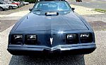 1981 Trans Am Thumbnail 3