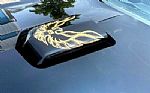1981 Trans Am Thumbnail 10