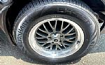 1981 Trans Am Thumbnail 20