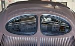1950 Beetle Thumbnail 8