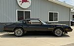 1979 Trans Am Thumbnail 2