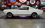 1966 Mustang Fastback GT 350 Style Thumbnail 3