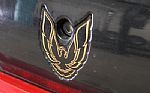 1988 Trans Am GTA SE Thumbnail 17