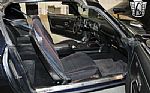 1981 Firebird Thumbnail 7