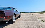 1980 Firebird Thumbnail 6