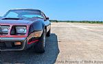 1980 Firebird Thumbnail 11
