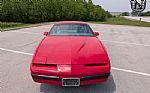 1989 Firebird Thumbnail 8