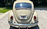 1968 Beetle Thumbnail 5