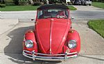 1967 Bug Convertible Thumbnail 3