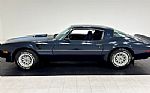 1981 Firebird Trans Am Thumbnail 2