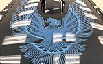 1981 Firebird Trans Am Thumbnail 10