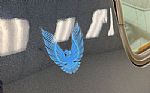 1981 Firebird Trans Am Thumbnail 19