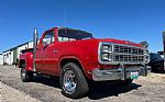 1979 D100 Pickup Thumbnail 4