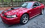 2004 Mustang Thumbnail 15