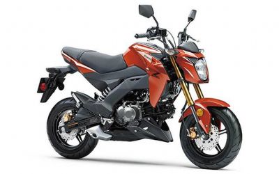 Photo of a 2025 Kawasaki Z125 Pro for sale