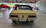 1967 Camaro RS/SS Tribute Thumbnail 7