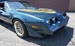 1979 Firebird Thumbnail 17