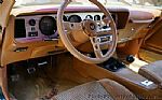 1979 Firebird Thumbnail 24