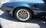 1979 Firebird Thumbnail 54