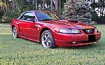 2004 Mustang GT Premium Thumbnail 1