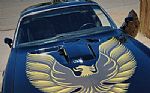 1979 Firebird Thumbnail 3