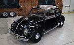 1958 Beetle Thumbnail 2