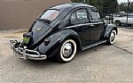 1959 Beetle Thumbnail 4