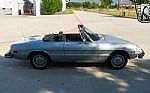 1976 Spider Thumbnail 5