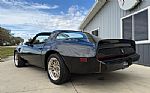 1981 Trans Am Thumbnail 4