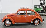 1965 Beetle Thumbnail 3