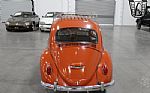 1965 Beetle Thumbnail 4