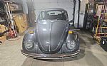 1970 Beetle Thumbnail 2