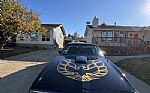 1980 Trans Am Thumbnail 13
