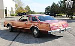 1979 Thunderbird Thumbnail 6