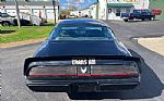 1979 Firebird Trans Am Thumbnail 12