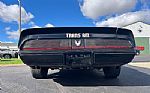 1979 Firebird Trans Am Thumbnail 13