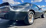1979 Firebird Trans Am Thumbnail 16