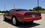1976 Trans Am Thumbnail 5