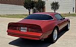 1976 Trans Am Thumbnail 7