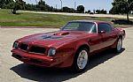1976 Trans Am Thumbnail 11
