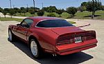 1976 Trans Am Thumbnail 13