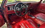 1976 Trans Am Thumbnail 17
