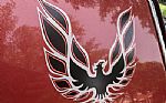 1976 Trans Am Thumbnail 42