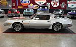 1979 Trans Am Thumbnail 11
