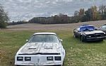 1981 Firebird Trans Am indy pace c Thumbnail 8