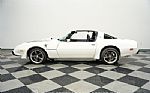 1981 Firebird Trans Am SE Thumbnail 2