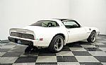 1981 Firebird Trans Am SE Thumbnail 12