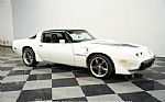 1981 Firebird Trans Am SE Thumbnail 15