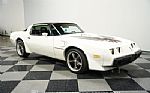 1981 Firebird Trans Am SE Thumbnail 16
