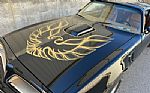 1978 Firebird Trans Am SEY82 Thumbnail 19